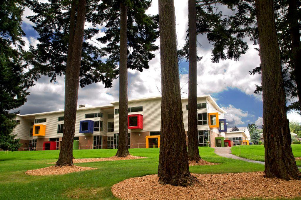 Wide shot through trees of Trillium Creek Public School